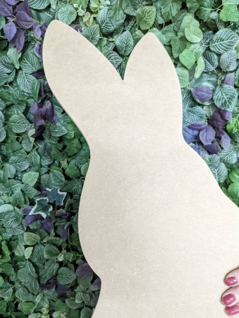 Chocolate Rabbit Prop