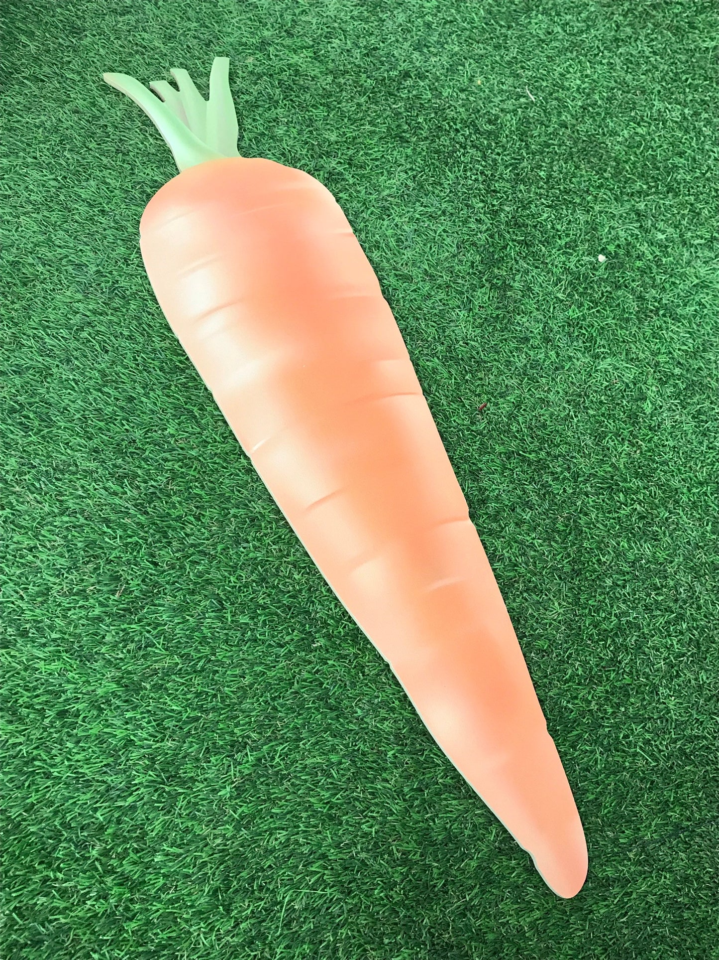 Giant Wooden Carrot