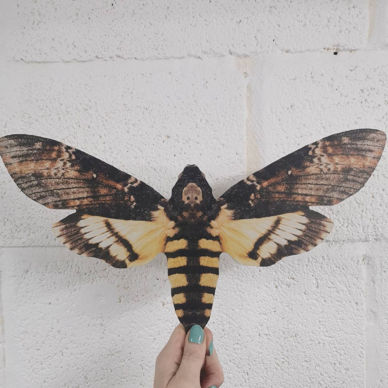 Giant Death Moth Decoration