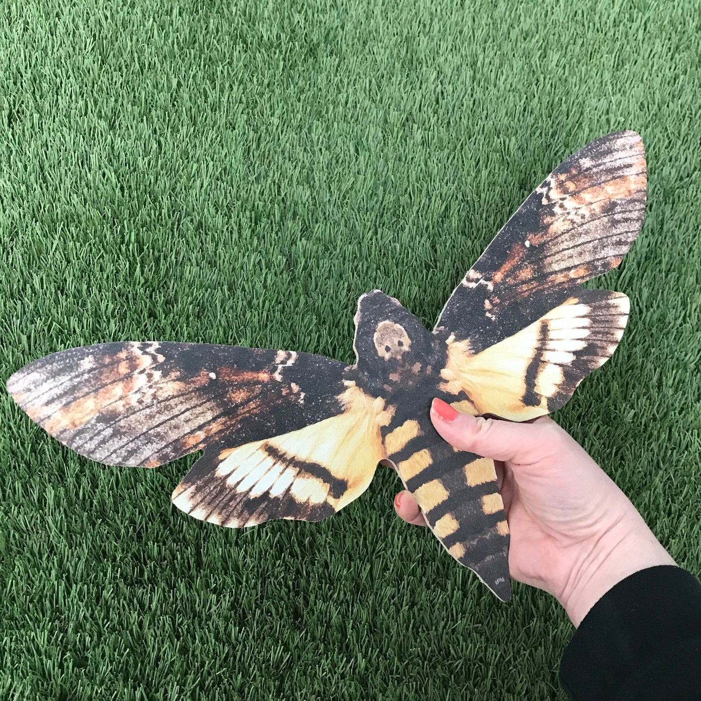 Giant Death Moth Decoration