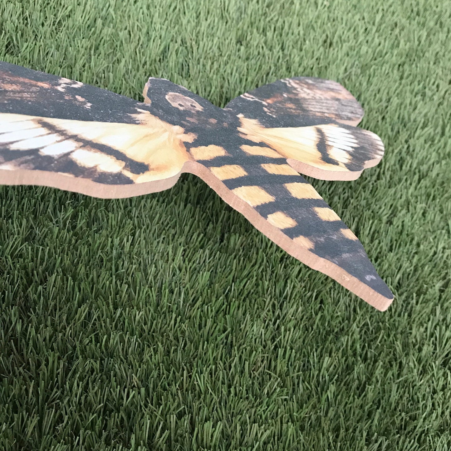 Giant Death Moth Decoration