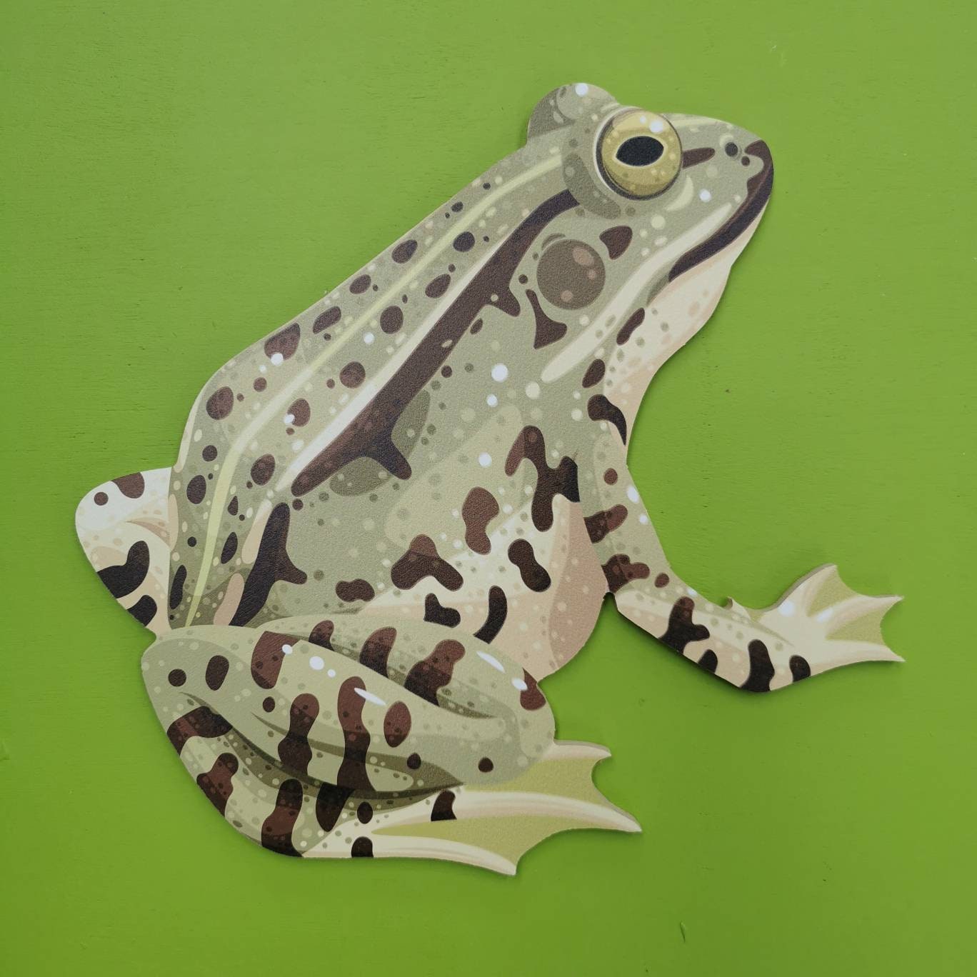 Wooden Frog Prop