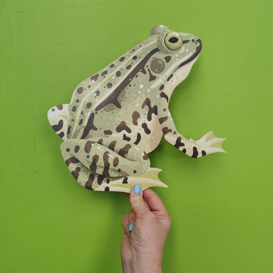 Wooden Frog Prop