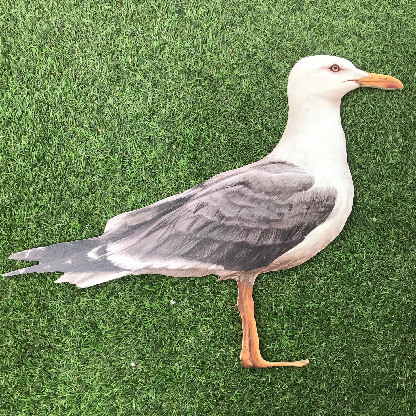 Seagull 2D Prop