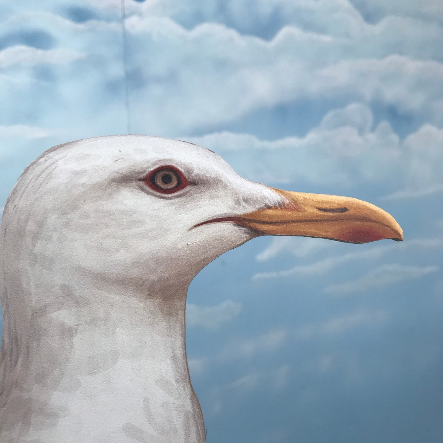 Seagull 2D Prop