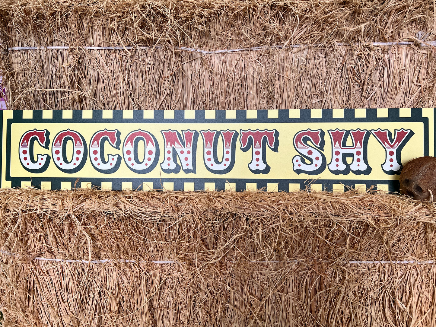 Coconut Shy Sign