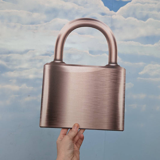 Giant 2D Padlock