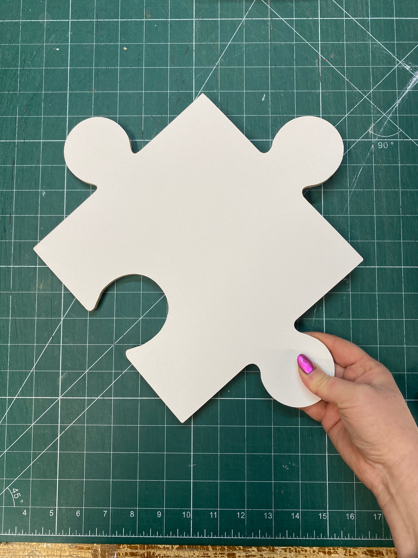 Giant UNPAINTED Wooden Jigsaw Puzzle Piece