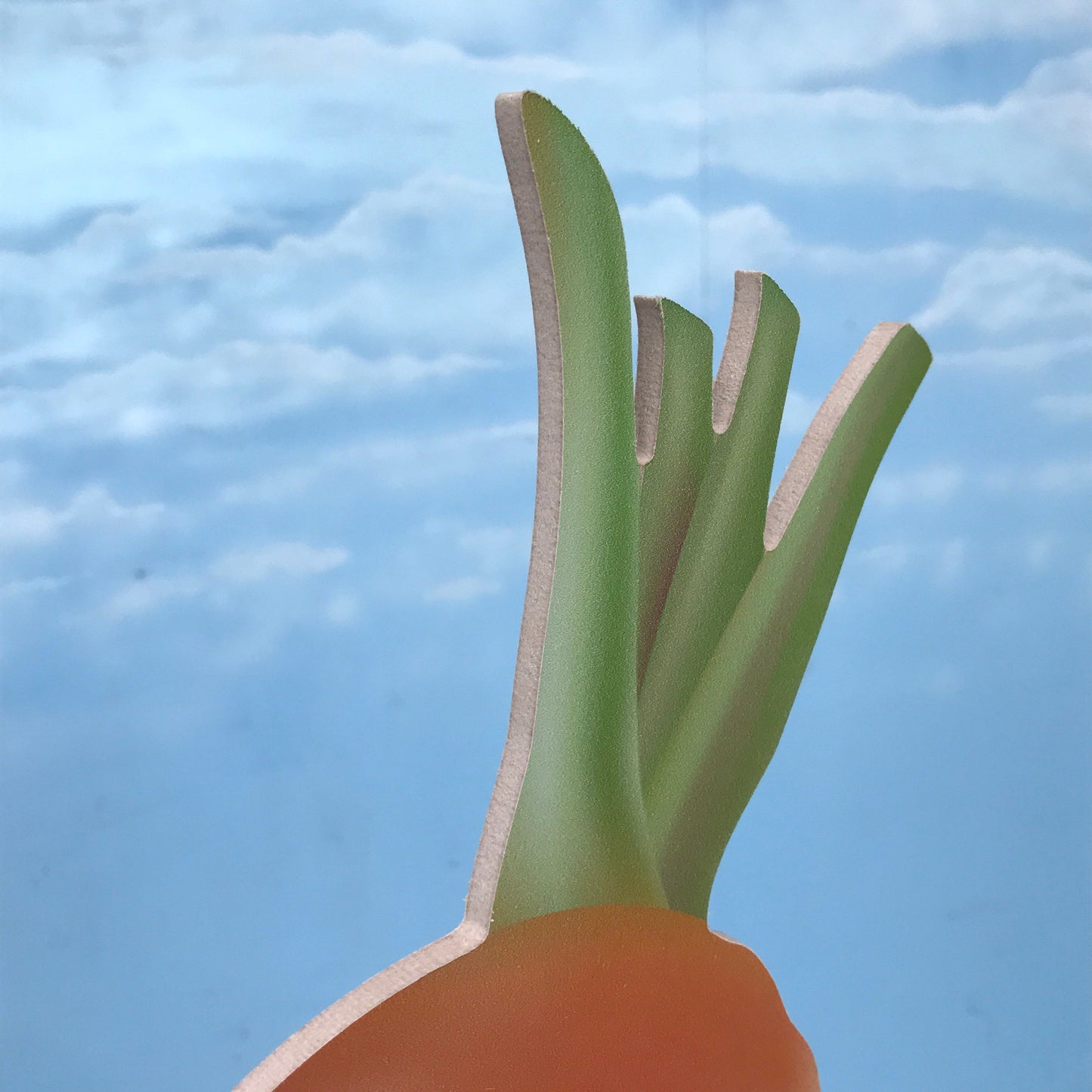 Giant Wooden Carrot