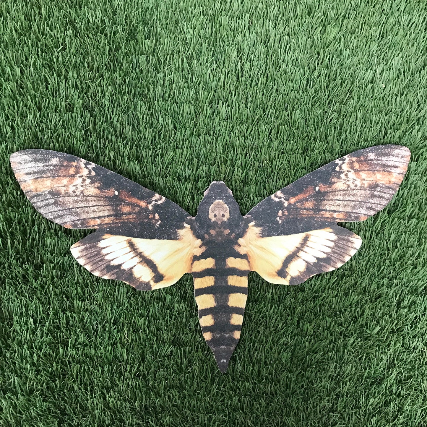 Giant Death Moth Decoration