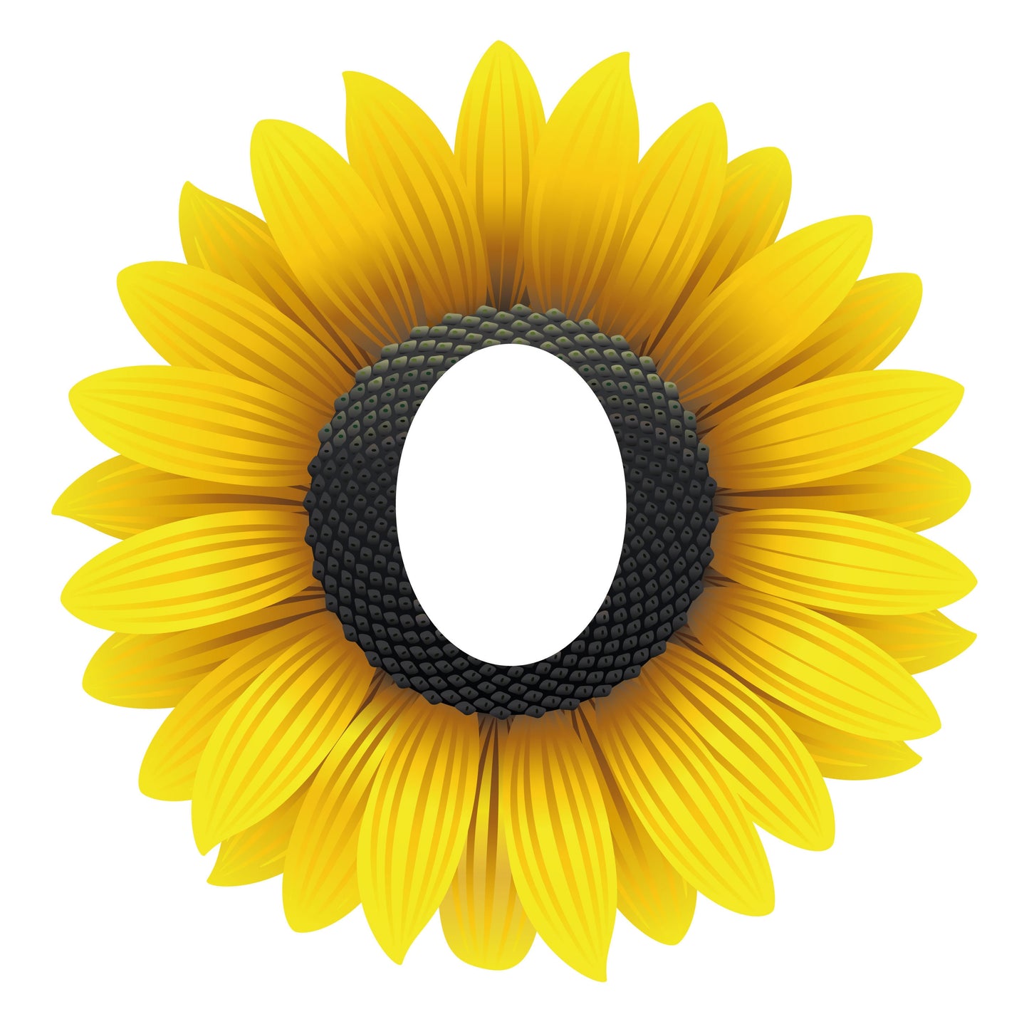 Sunflower Peep Board